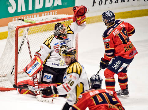Niklas Svedberg, målvakt, Brynäs