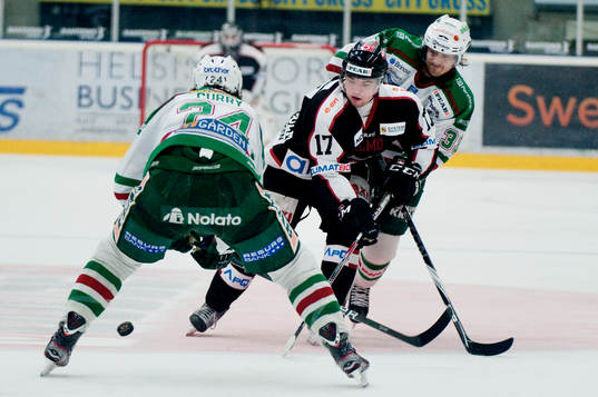 Pontus Westerholm, Malmö, Daniel Sondell, Rögle