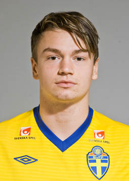 Fredrik Alnäs, Sverige