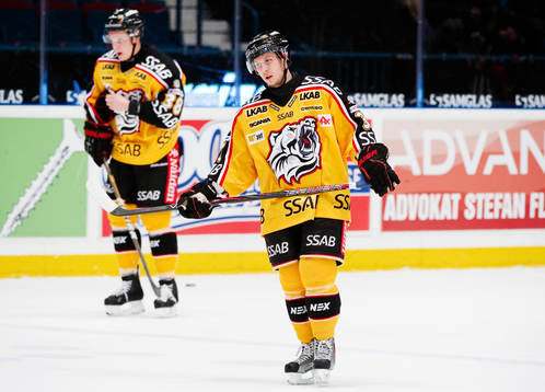 Elias Fälth, Luleå, depp