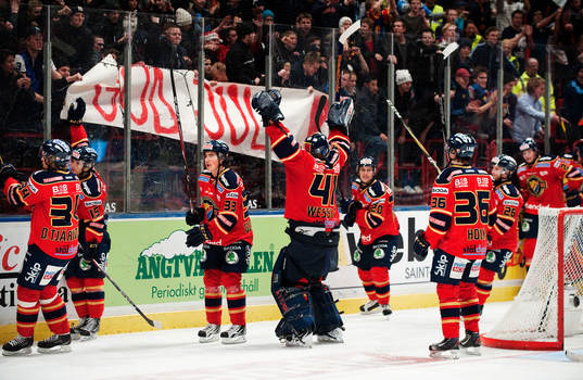 Djurgårdens spelare jubel