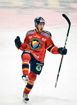 Bläddra bland fler bilder av Ishockey, Elitserien, Djurgården - Linköping