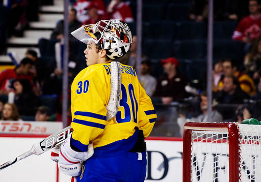 Johan Gustafsson, målvakt, Sverige