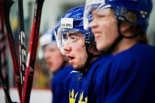Mika Zibanejad