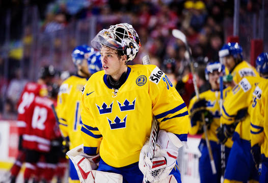 Johan Gustafsson, målvakt, Sverige