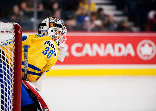Johan Gustafsson, målvakt, Sverige, blickar ut mot spelet