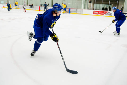 Mika Zibanejad