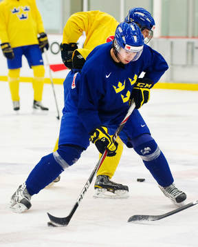 Mika Zibanejad