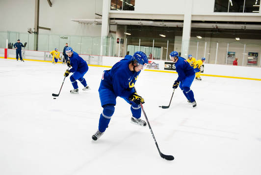 Mika Zibanejad