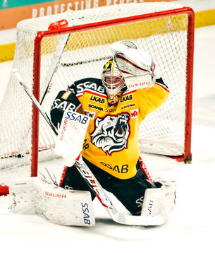 David Rautio, målvakt