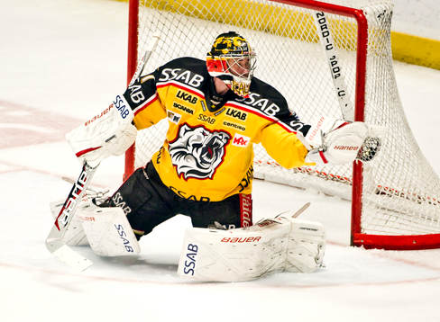 David Rautio, målvakt