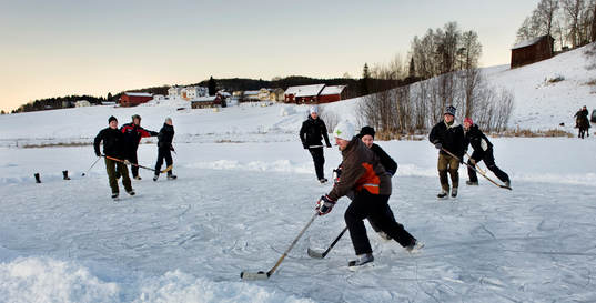 Skridskoåkning på naturis på nyårsafton, natur, snö,