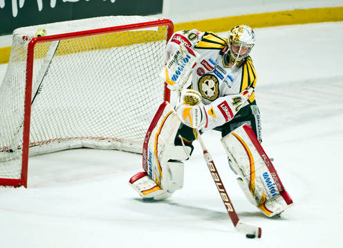 Johan Holmqvist, målvakt