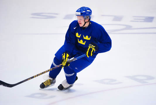 Max Friberg, Sverige