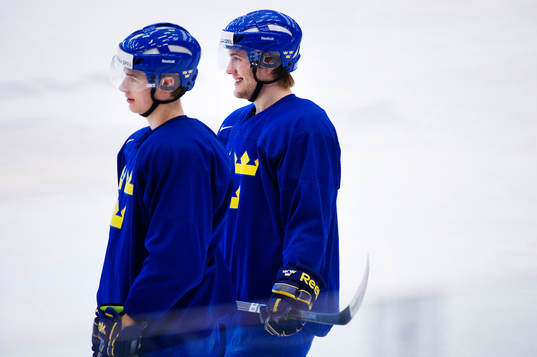 Johan Sundström och Johan Larsson, Sverige