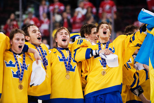 Johan Gustafsson, målvakt, Johan Larsson och Mattias