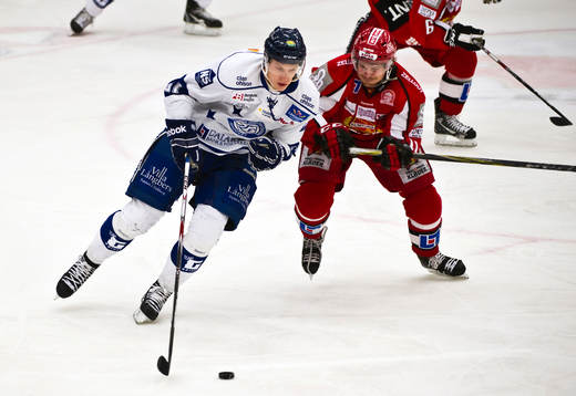 Johan Ryno, Leksand och Johan Berggren, Almtuna