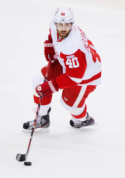 Henrik Zetterberg, Detroit