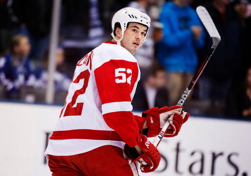 Jonathan Ericsson, Detroit