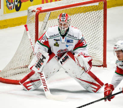 Mikael Tellqvist, målvakt