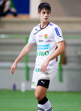 Mirza Mujcic, Gais