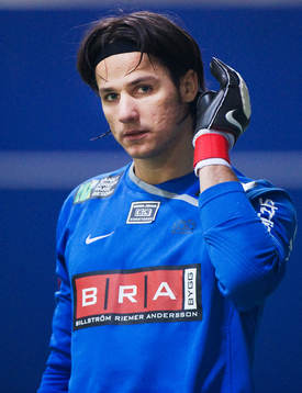 Damir Mehic, målvakt