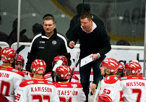 Patrik Ross, tränare
