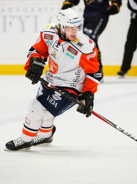Tomas Netik