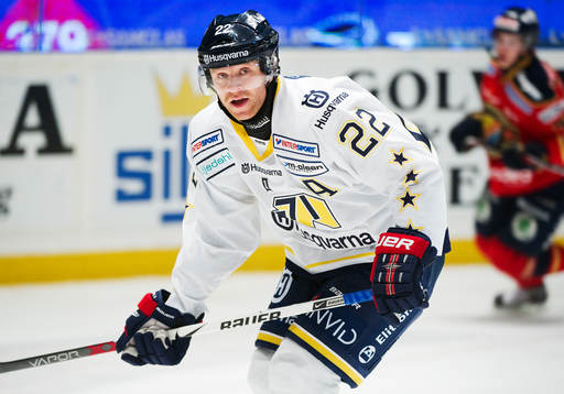 David Petrasek, HV71
