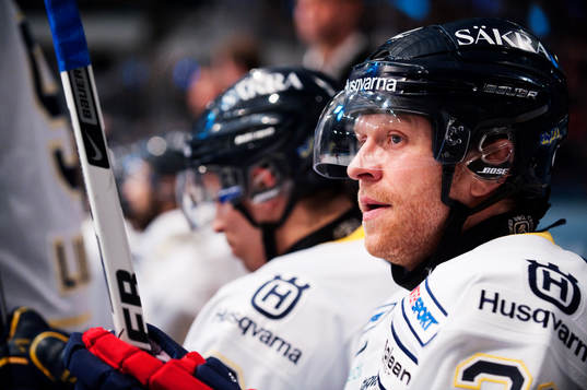 David Petrasek, HV71
