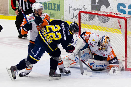 David Petrasek, HV71, Martin Gerber, Växjö