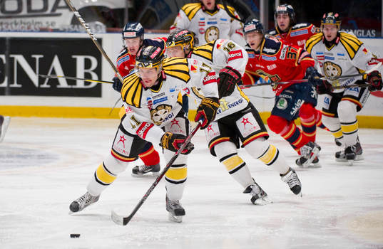 Sebastian Wännström, Brynäs