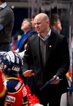 Tony Zabel, tränare
