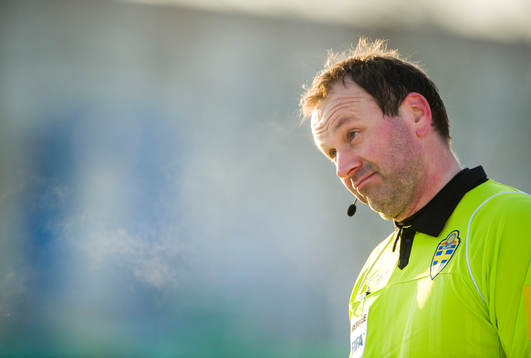 Jonas Eriksson, domare