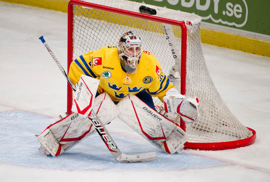 Johan Gustafsson, målvakt Sverige