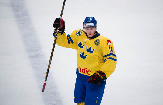 Mattias Ekholm, Sverige jubel