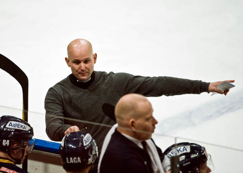 Tony Sabel, tränare, Djurgården