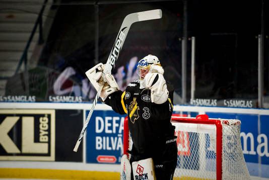 Niklas Lundsröm, målvakt AIK jubel på slutsignal
