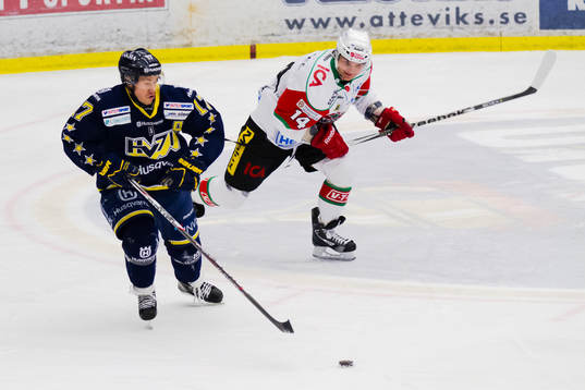 Andreas Falk, HV71, Petr Kalus, Modo