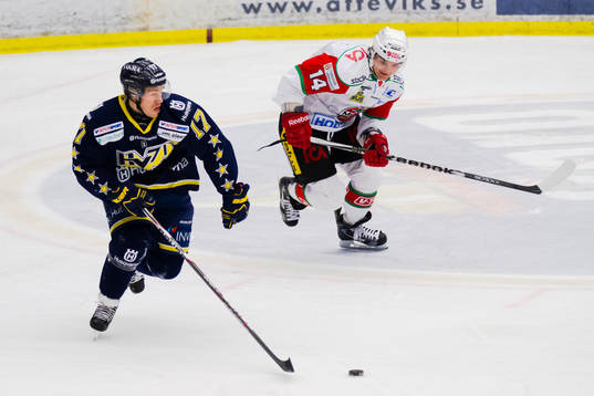 Andreas Falk, HV71, Petr Kalus, Modo