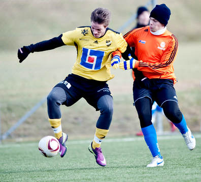 Henrik Roswall, Hässleholm