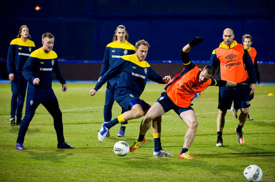 Zlatan Ibrahimovic, Andreas Granqvist, Emir Bajrami och