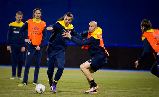 Zlatan Ibrahimovic och Daniel Majstorovic
