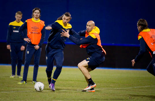 Zlatan ibrahimovic och Daniel Majstorovic