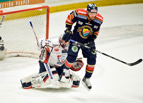 Bläddra bland fler bilder av Ishockey, Elitserien, Djurgården - Linköping