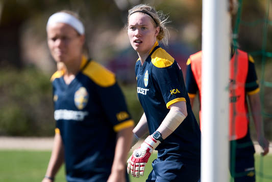 Hedvig Lindahl, måvakt