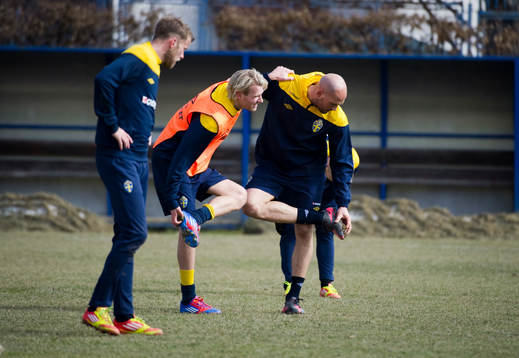 Ola Toivonen och Daniel Majstorovic