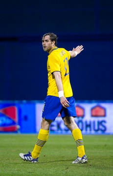 Johan Elmander, Sverige