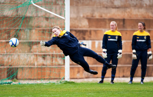 Hedvig Lindahl, målvakt