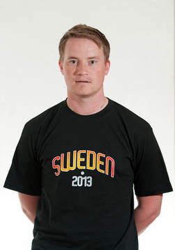Christoffer Bernspång, analytiker